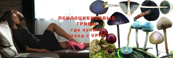 ешки Богородск
