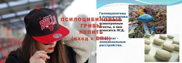 ешки Богородск