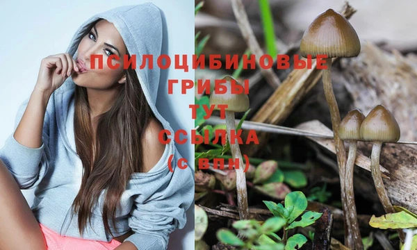 тгк Бугульма