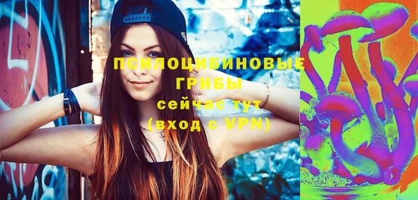 гашиш Богородицк