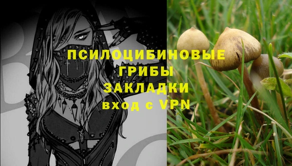 mdma Бородино