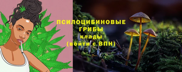 mdma Бородино